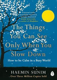 Okładka książki The Things You Can See Only When You Slow Down. Haemin Sunim Haemin Sunim, 9780241340660,   53 zł