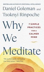 Okładka książki Why We Meditate. Daniel Goleman Daniel Goleman, 9780241527870,