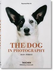 Обкладинка книги The Dog in Photography 1839 - Today. Raymond Merritt Raymond Merritt, 9783836567473,   91 zł