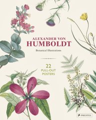 Обкладинка книги Alexander Von Humboldt: Botanical Illustrations. 22 Pull-Out Posters. Otfried Baume Otfried Baume, 9783791385136,   106 zł