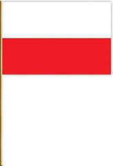 Обкладинка книги Польський прапор. Chorągiewka Polska , 5901738563032,   10 zł