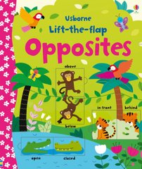 Okładka książki Lift-the-flap Opposites Felicity Brooks, 9781409582588,   53 zł