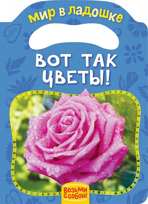 Обложка книги Вот так цветы!. Котятова Н. И., 978-5-353-08347-4,   15 zł