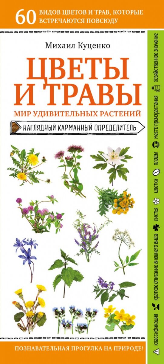Обложка книги Цветы и травы. Мир удивительных растений Куценко М.Е., 978-5-04-111887-7,   22 zł