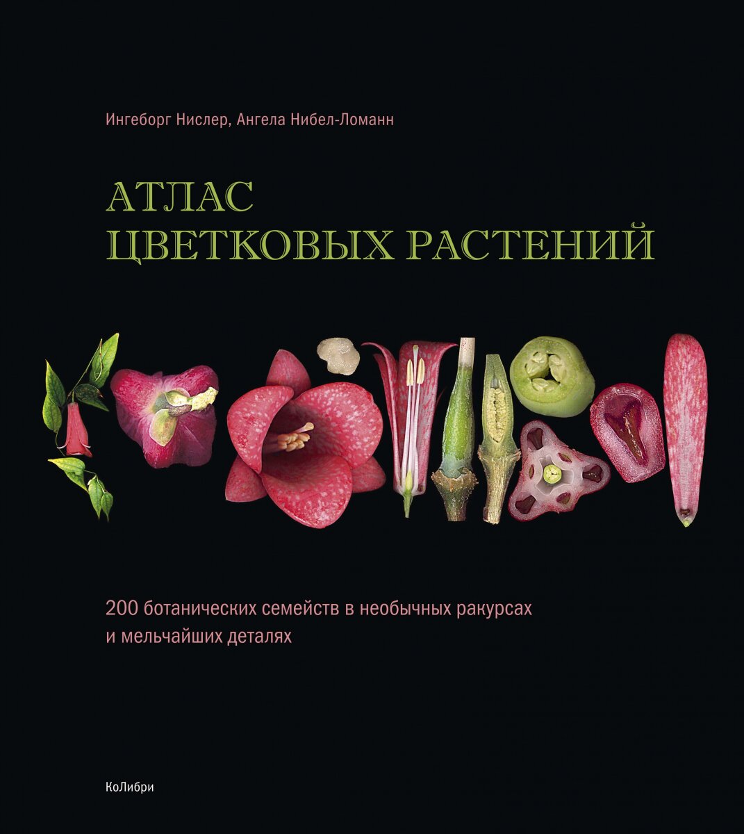 Обложка книги Атлас цветковых растений Нислер И., Нибел-Ломанн А., 978-5-389-15447-6,   226 zł